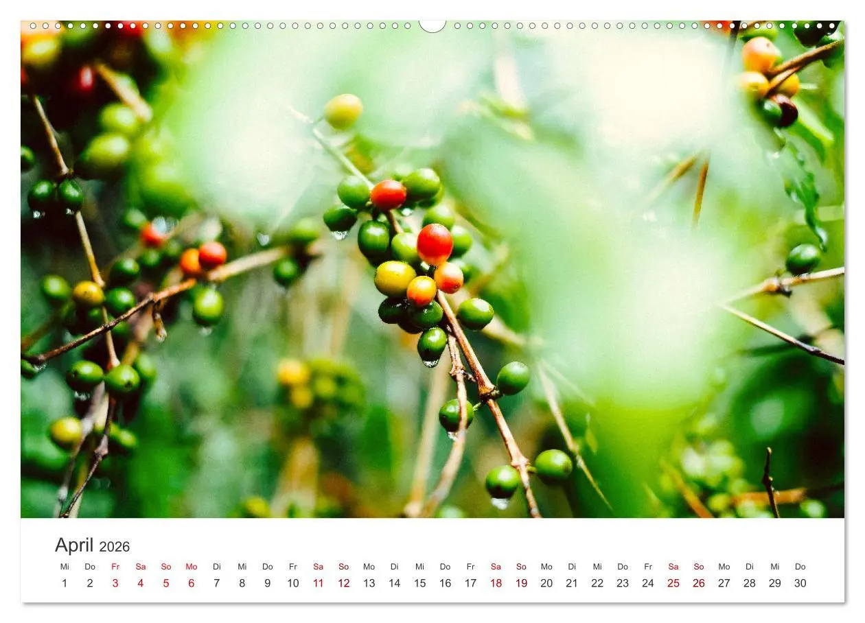 Bild: 9783457421871 | Kunterbuntes Guatemala (hochwertiger Premium Wandkalender 2026 DIN...