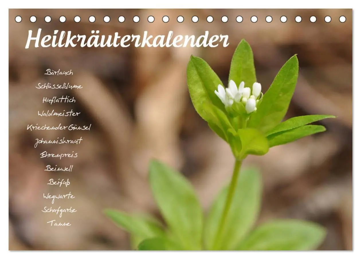 Cover: 9783516131871 | Heilkräuterkalender (Tischkalender 2026 DIN A5 quer), CALVENDO...