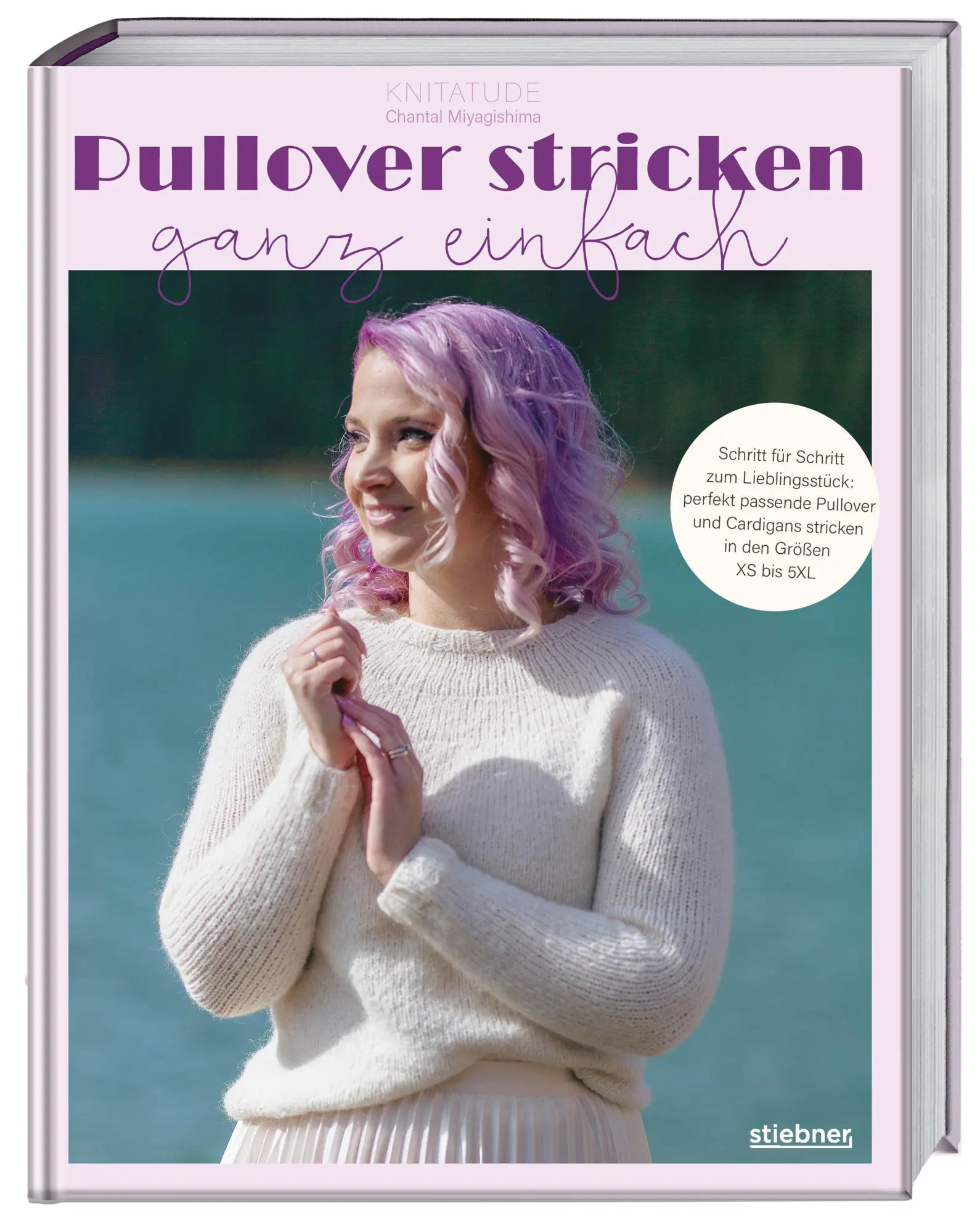 Pullover stricken ganz einfach