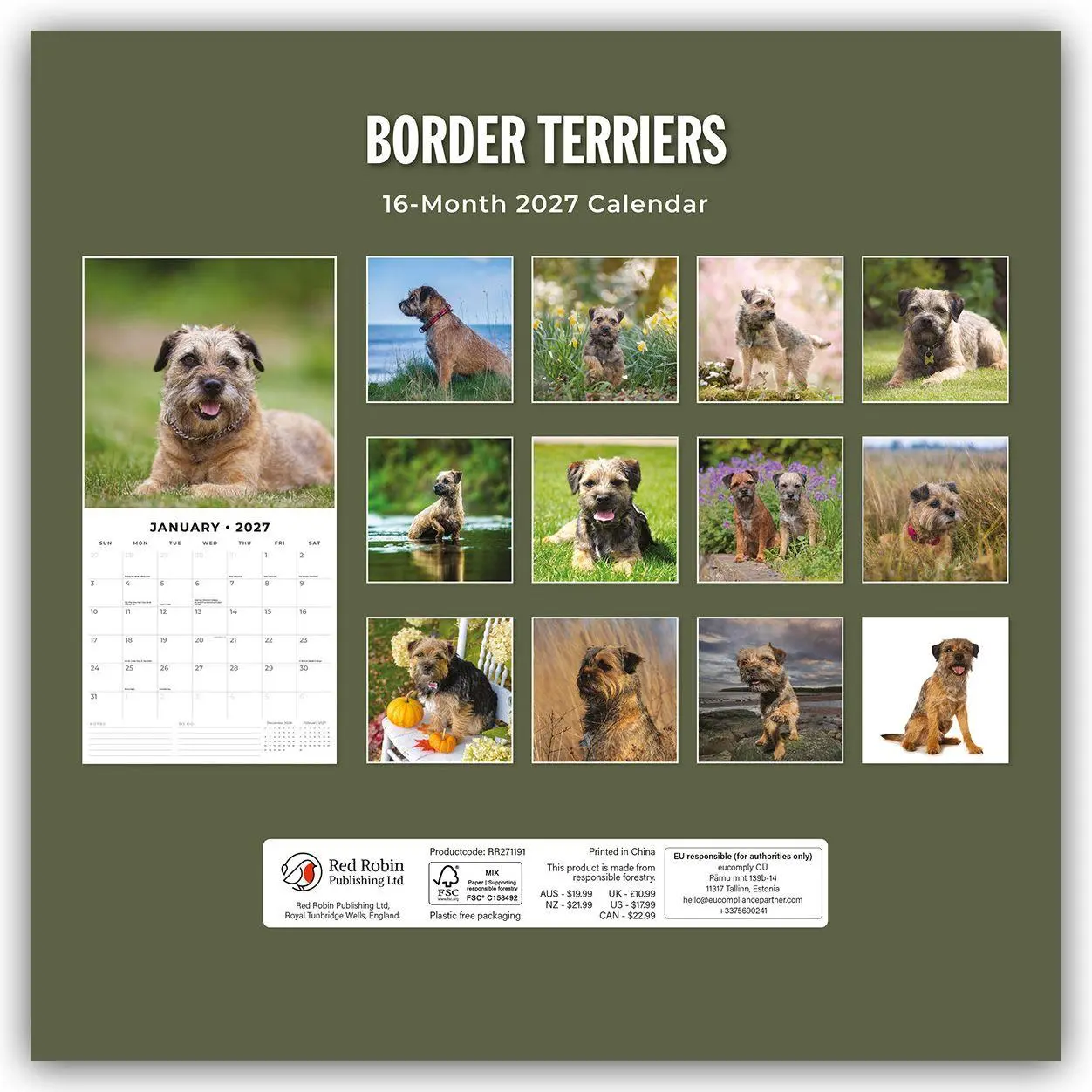 Bild: 9781837011971 | Border Terriers - Border Terrier 2027 - 16-Monatskalender | Robin Red
