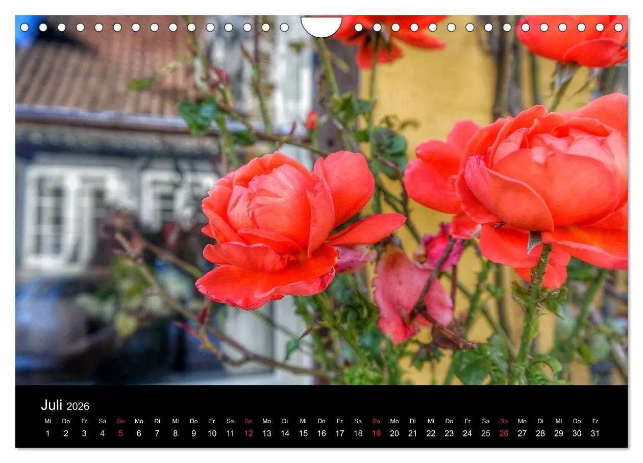 Bild: 9783457961971 | Zeit für... die Insel Ærø (Wandkalender 2026 DIN A4 quer), CALVENDO...