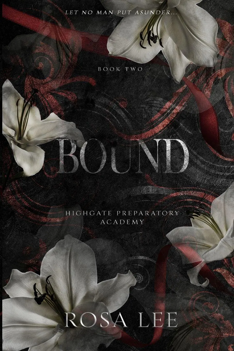 Cover: 9781917332071 | Bound | A Dark Forced Proximity Academy Romance | Rosa Lee | Buch