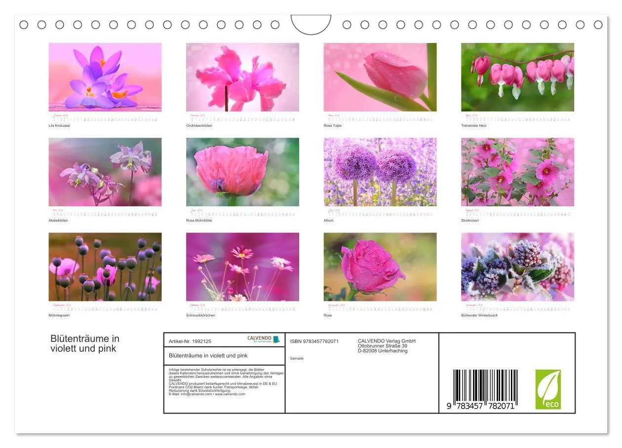 Bild: 9783457782071 | Blütenträume in violett und pink (Wandkalender 2026 DIN A4 quer),...
