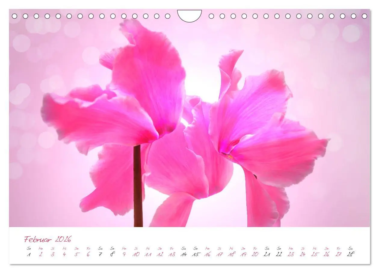 Bild: 9783457782071 | Blütenträume in violett und pink (Wandkalender 2026 DIN A4 quer),...
