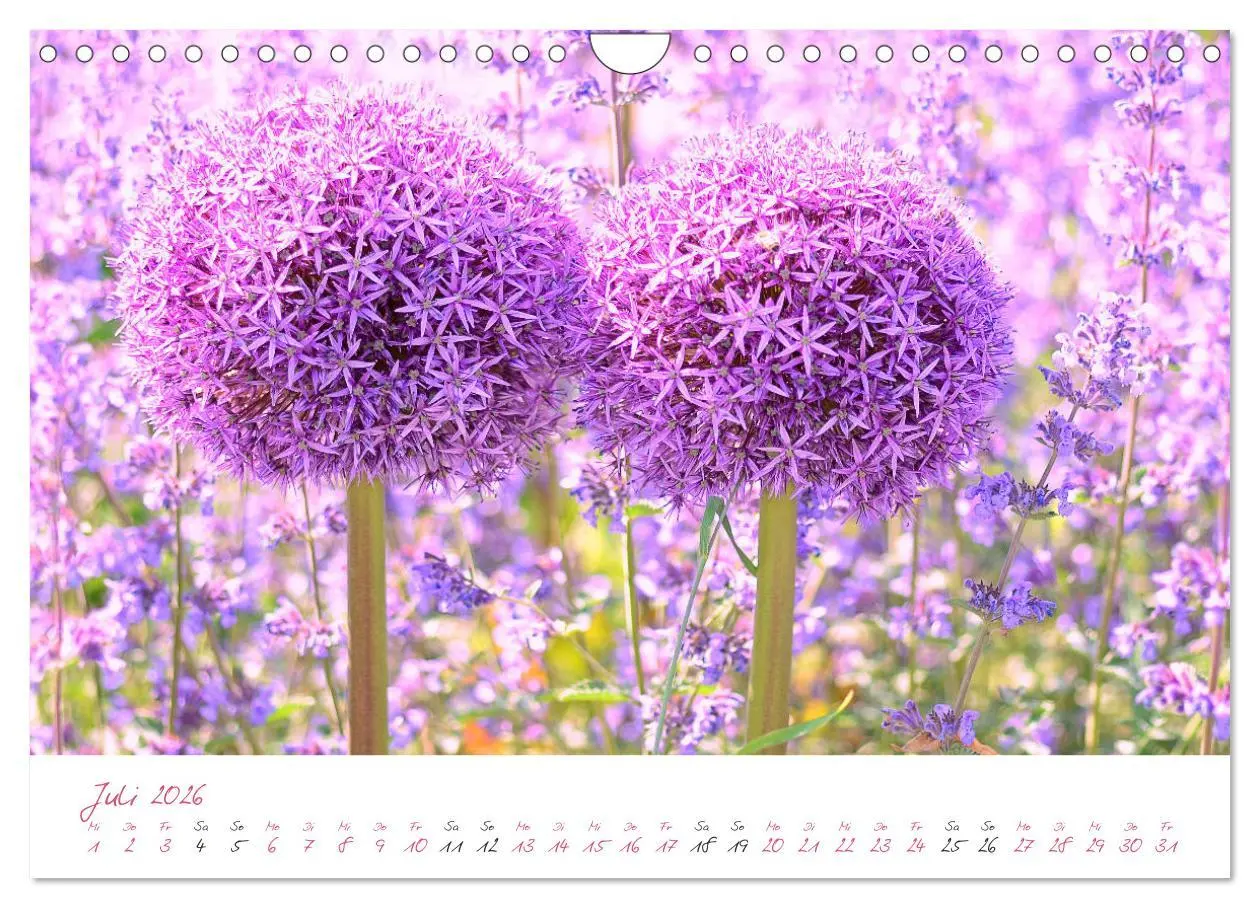 Bild: 9783457782071 | Blütenträume in violett und pink (Wandkalender 2026 DIN A4 quer),...
