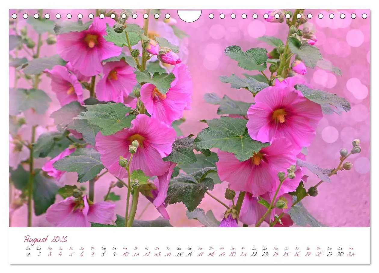 Bild: 9783457782071 | Blütenträume in violett und pink (Wandkalender 2026 DIN A4 quer),...