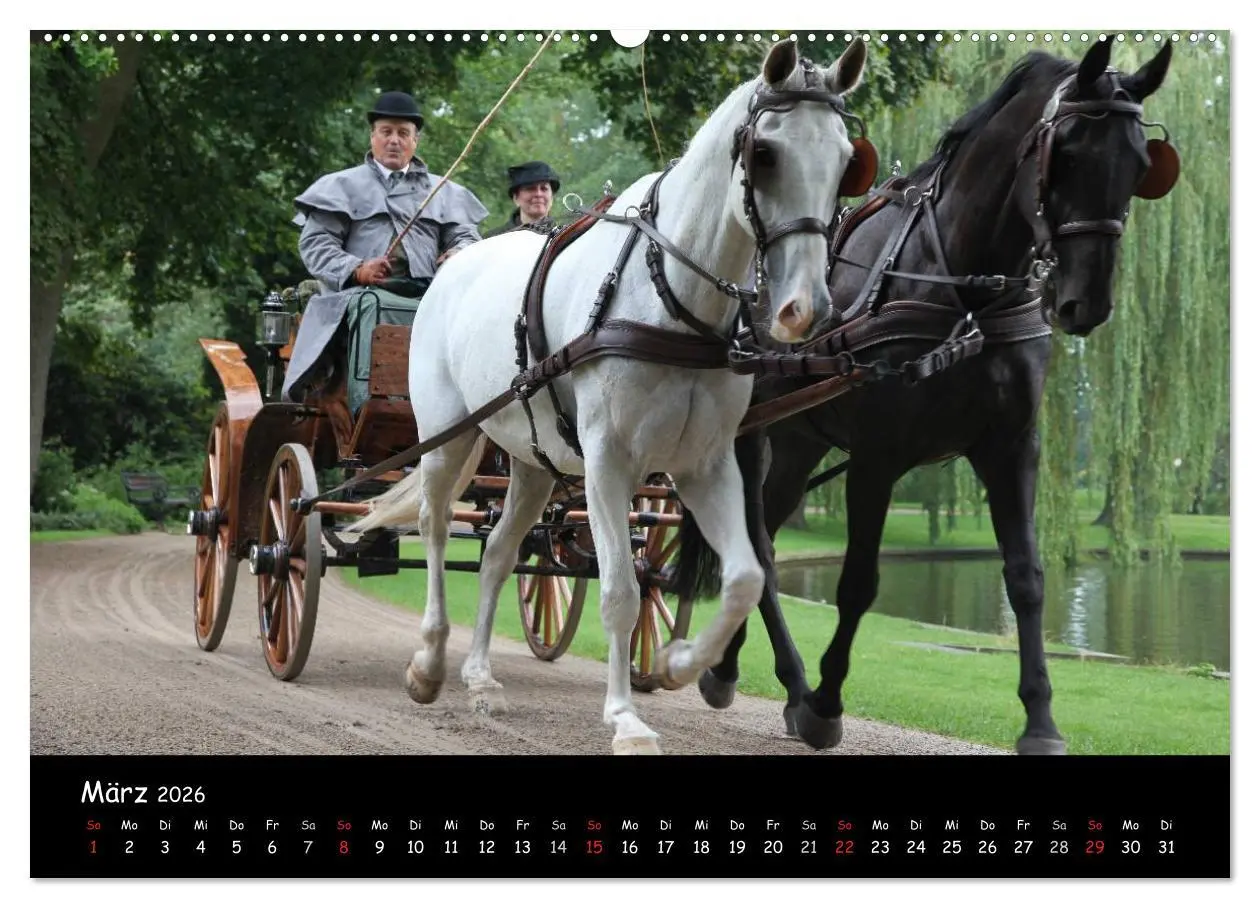 Bild: 9783516012071 | CIAT - Historischer Fahrsport in Celle (hochwertiger Premium...
