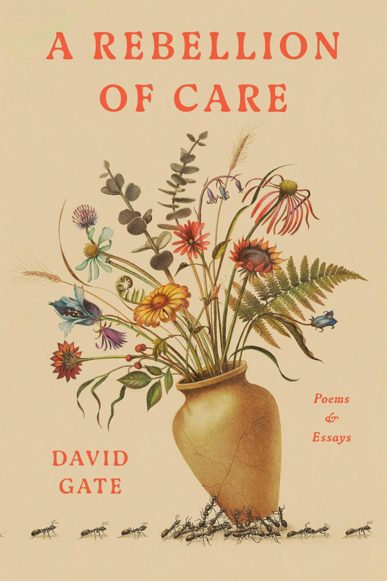 Cover: 9780593602171 | A Rebellion of Care | Poems and Essays | David Gate | Buch | Englisch