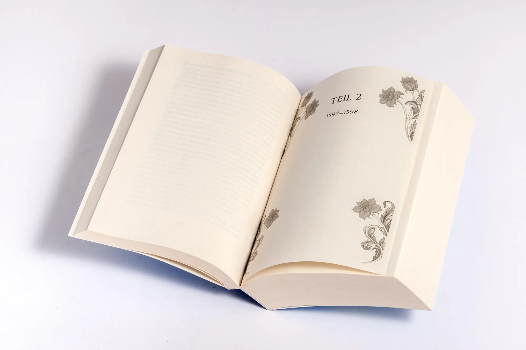 Bild: 9783734112171 | Die Krone der Meere | Historischer Roman | Johanna Dorn | Taschenbuch