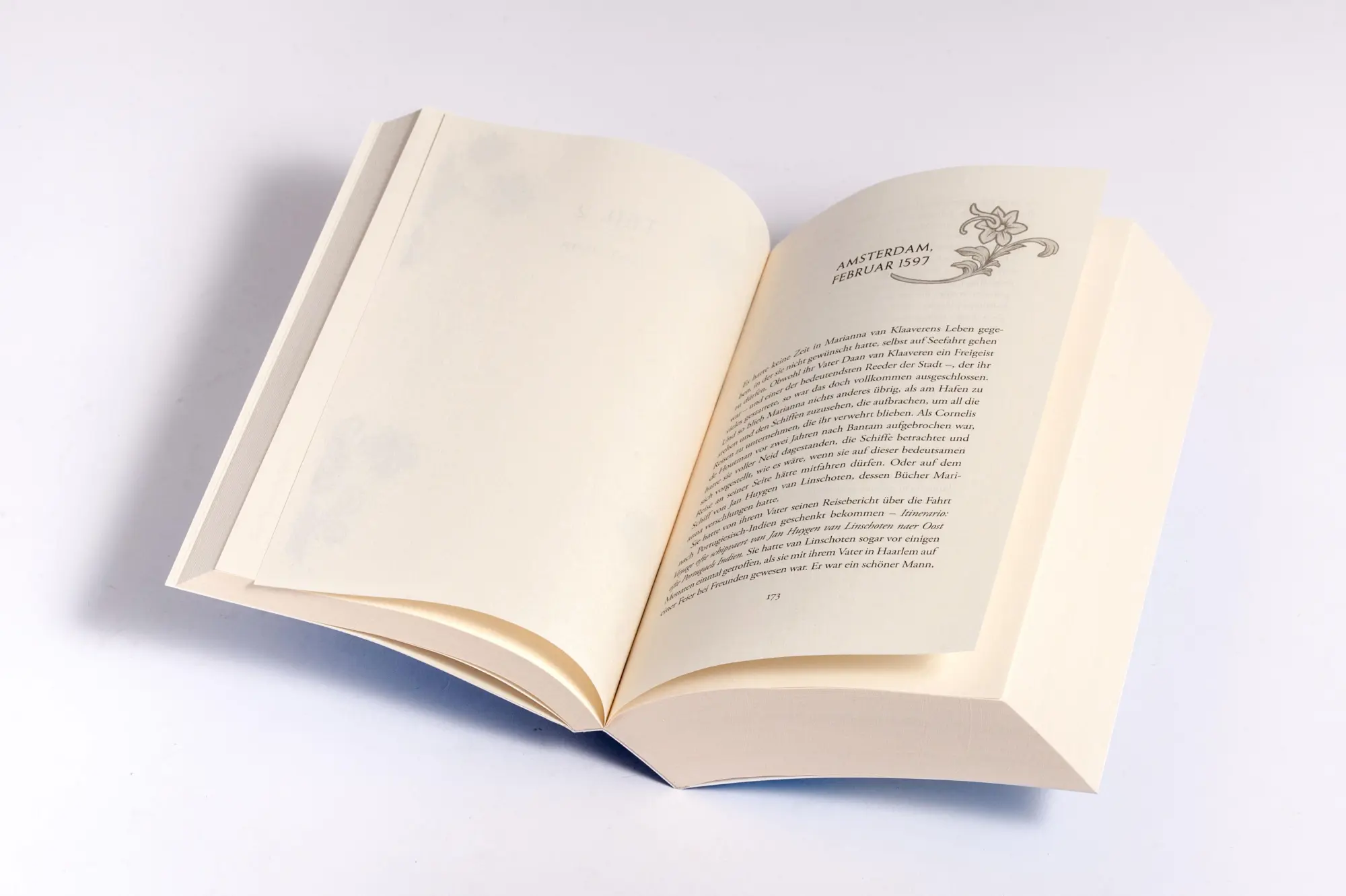 Bild: 9783734112171 | Die Krone der Meere | Historischer Roman | Johanna Dorn | Taschenbuch
