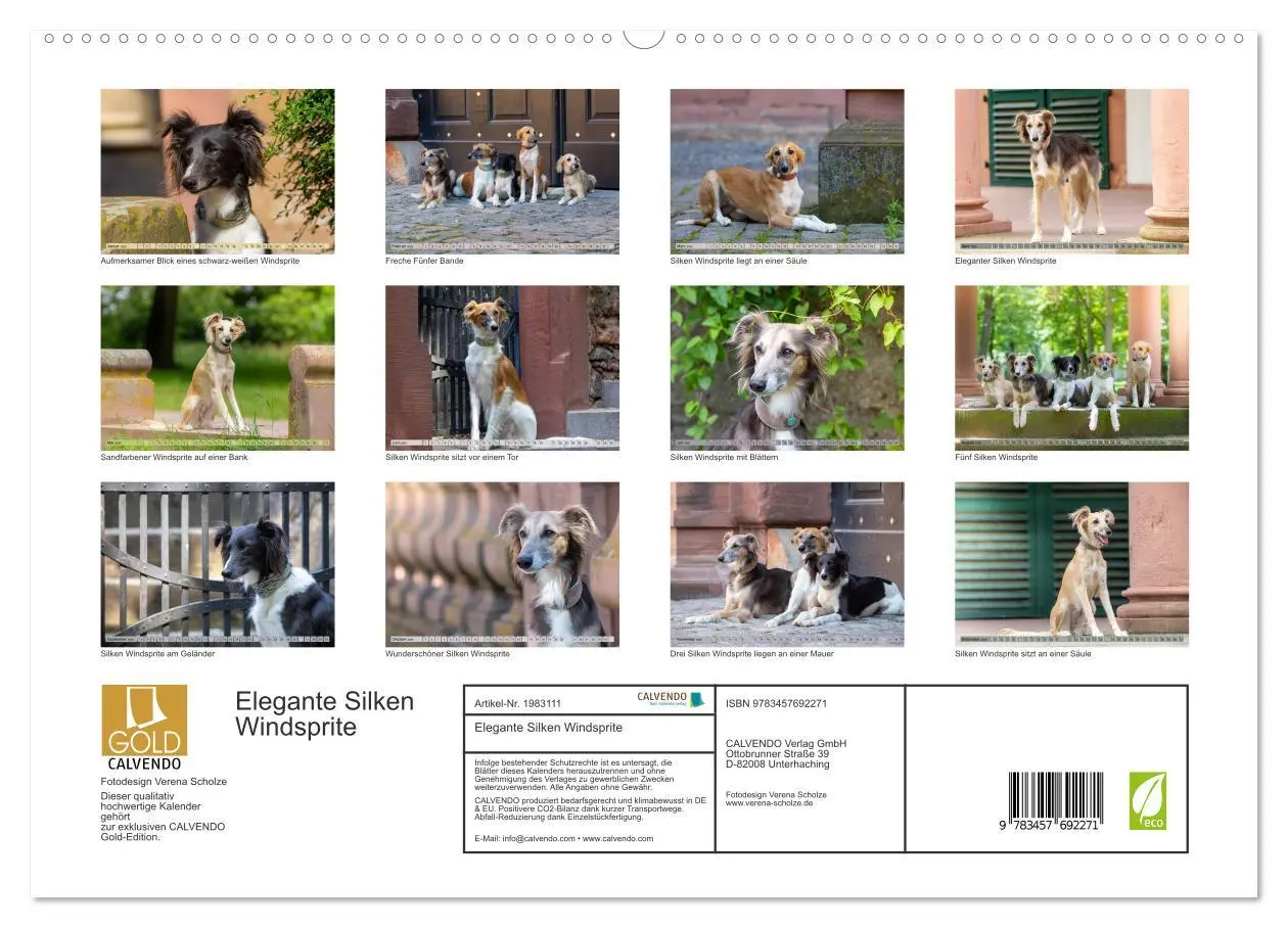 Bild: 9783457692271 | Elegante Silken Windsprite (hochwertiger Premium Wandkalender 2026...