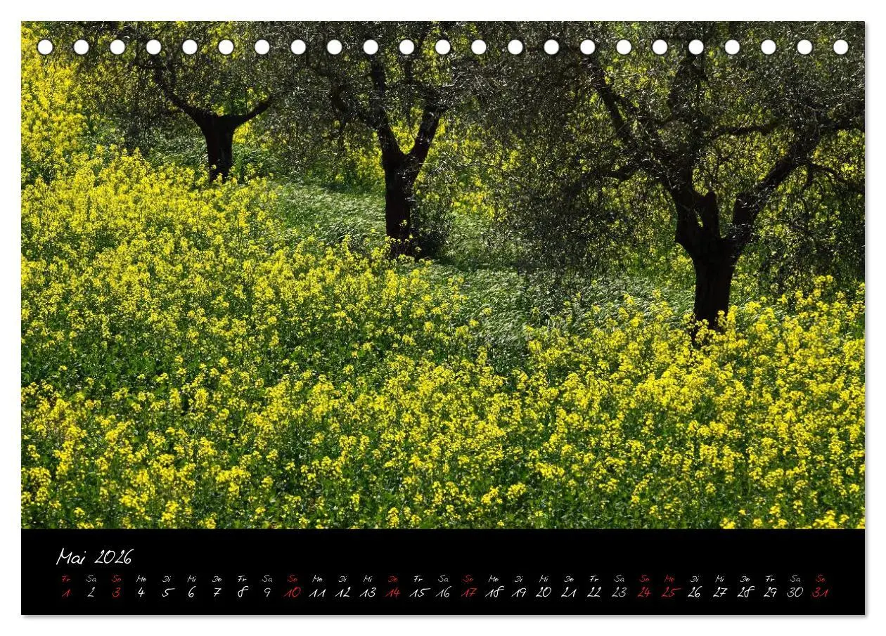 Bild: 9783516162271 | Licht der Toscana (Tischkalender 2026 DIN A5 quer), CALVENDO...