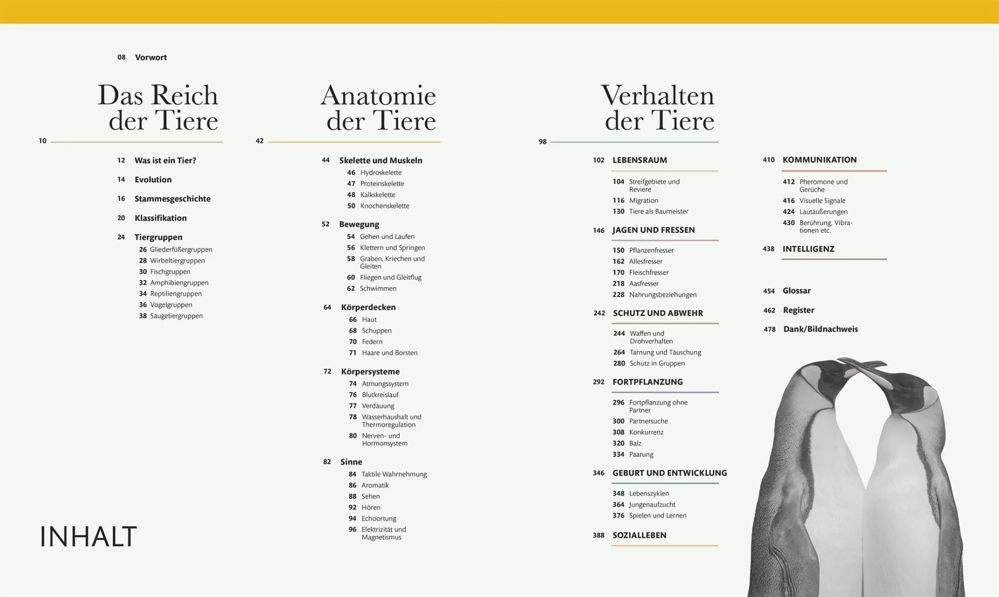 Bild: 9783831052271 | Tiere und ihr Verhalten | Frances Dipper (u. a.) | Buch | 480 S.