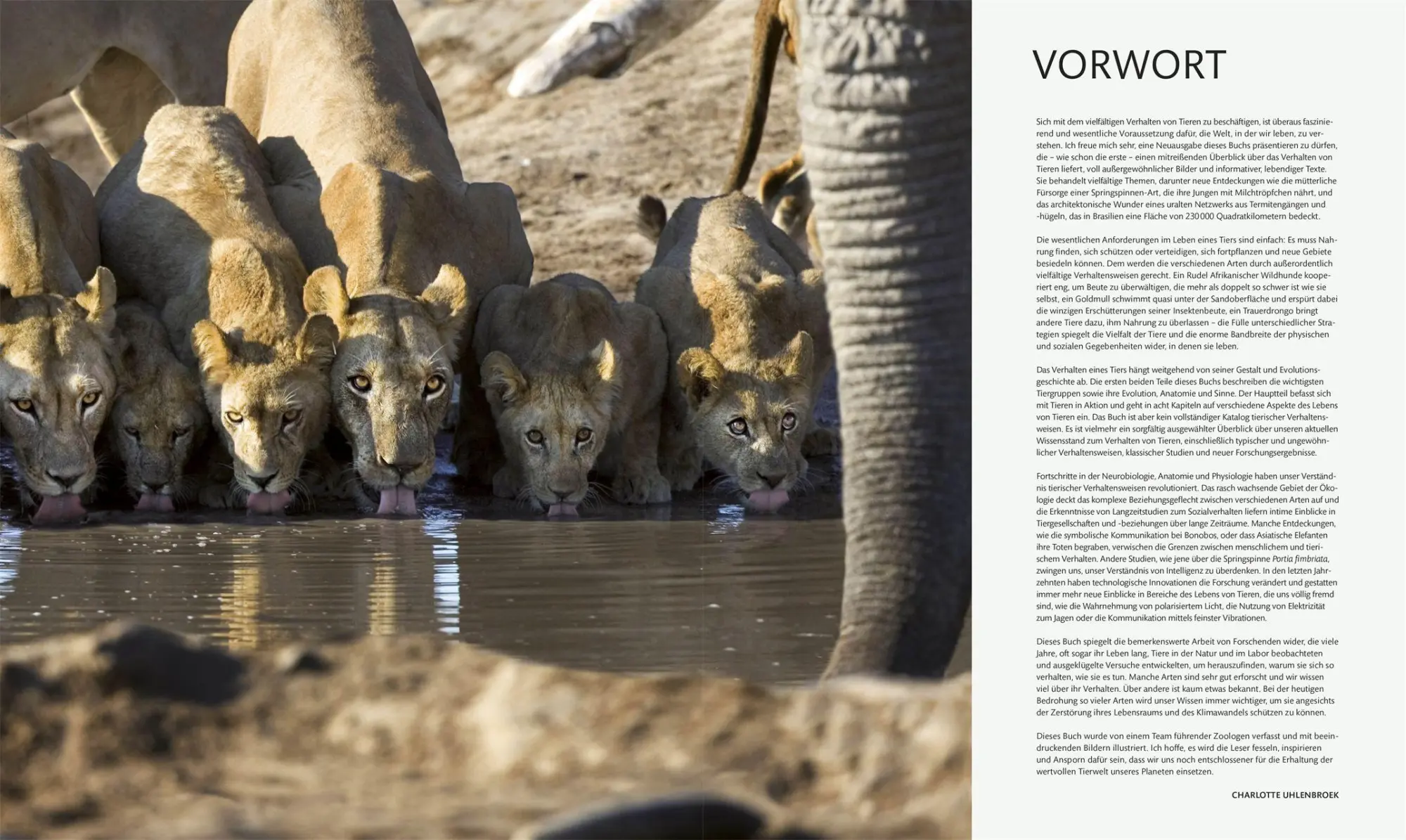 Bild: 9783831052271 | Tiere und ihr Verhalten | Frances Dipper (u. a.) | Buch | 480 S.