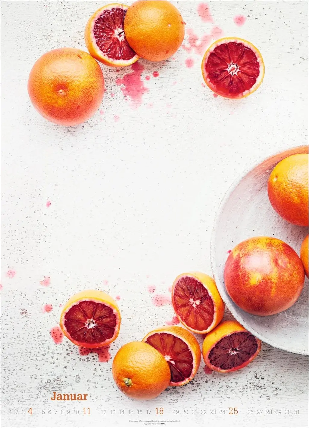 Bild: 9783839902271 | Fresh Food Kalender 2026 | Kalender | Spiralbindung | 14 S. | Deutsch
