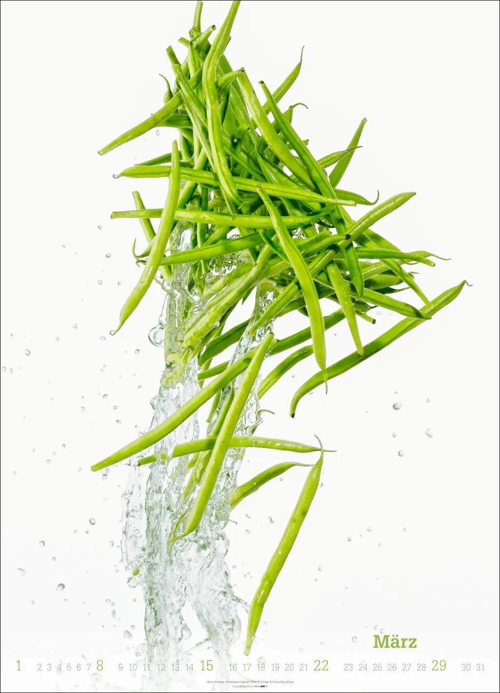 Bild: 9783839902271 | Fresh Food Kalender 2026 | Kalender | Spiralbindung | 14 S. | Deutsch