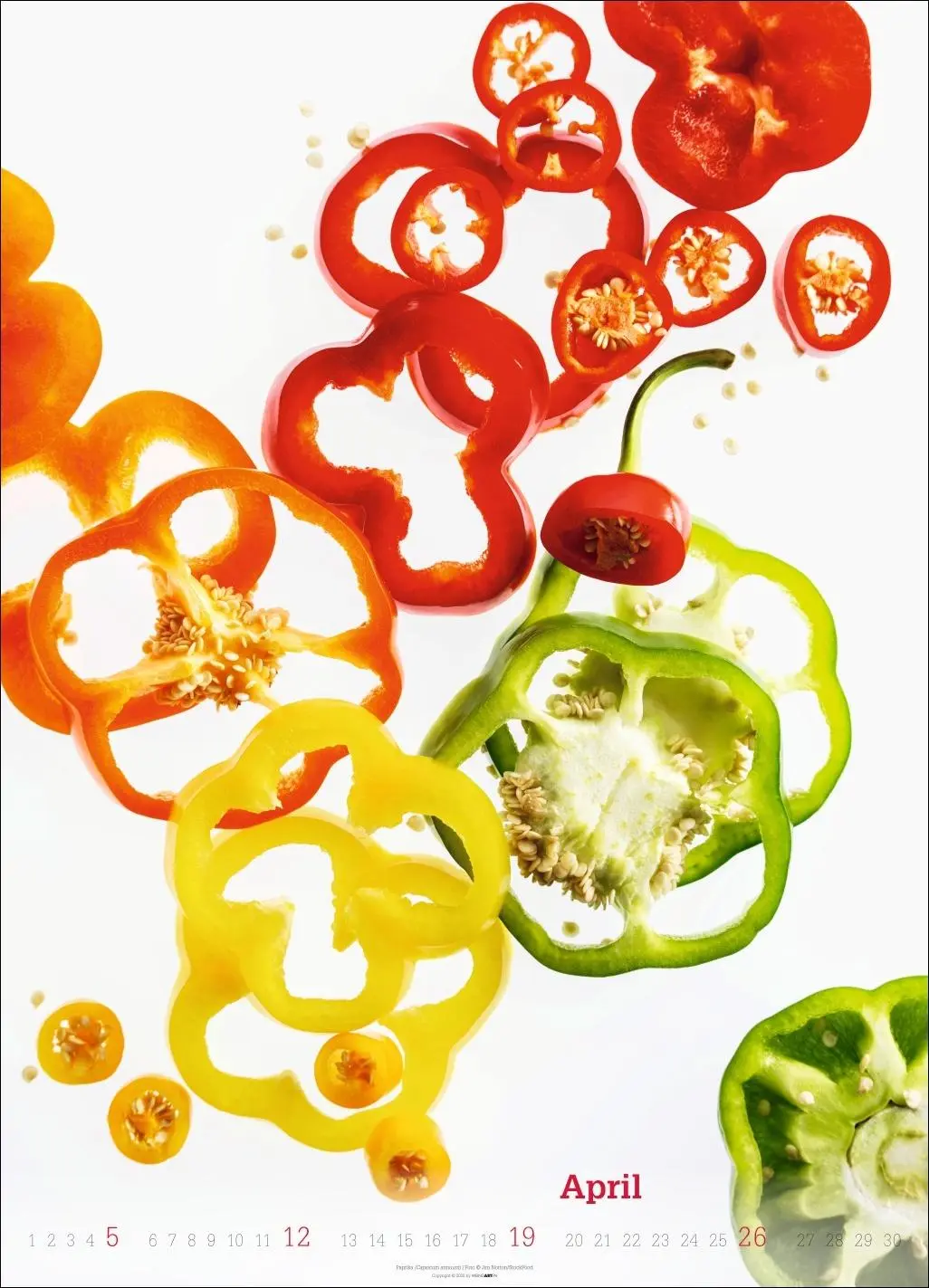 Bild: 9783839902271 | Fresh Food Kalender 2026 | Kalender | Spiralbindung | 14 S. | Deutsch