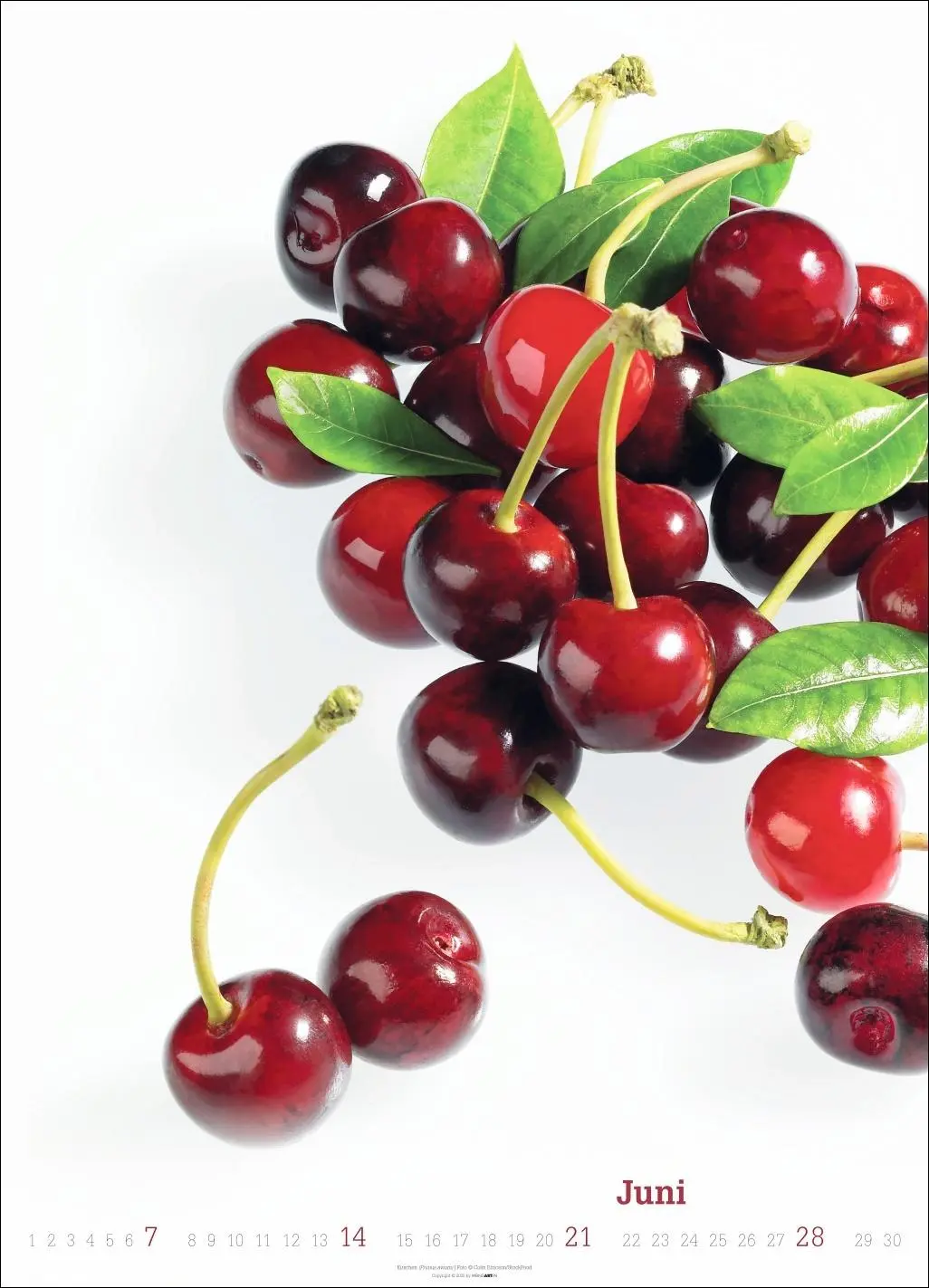 Bild: 9783839902271 | Fresh Food Kalender 2026 | Kalender | Spiralbindung | 14 S. | Deutsch