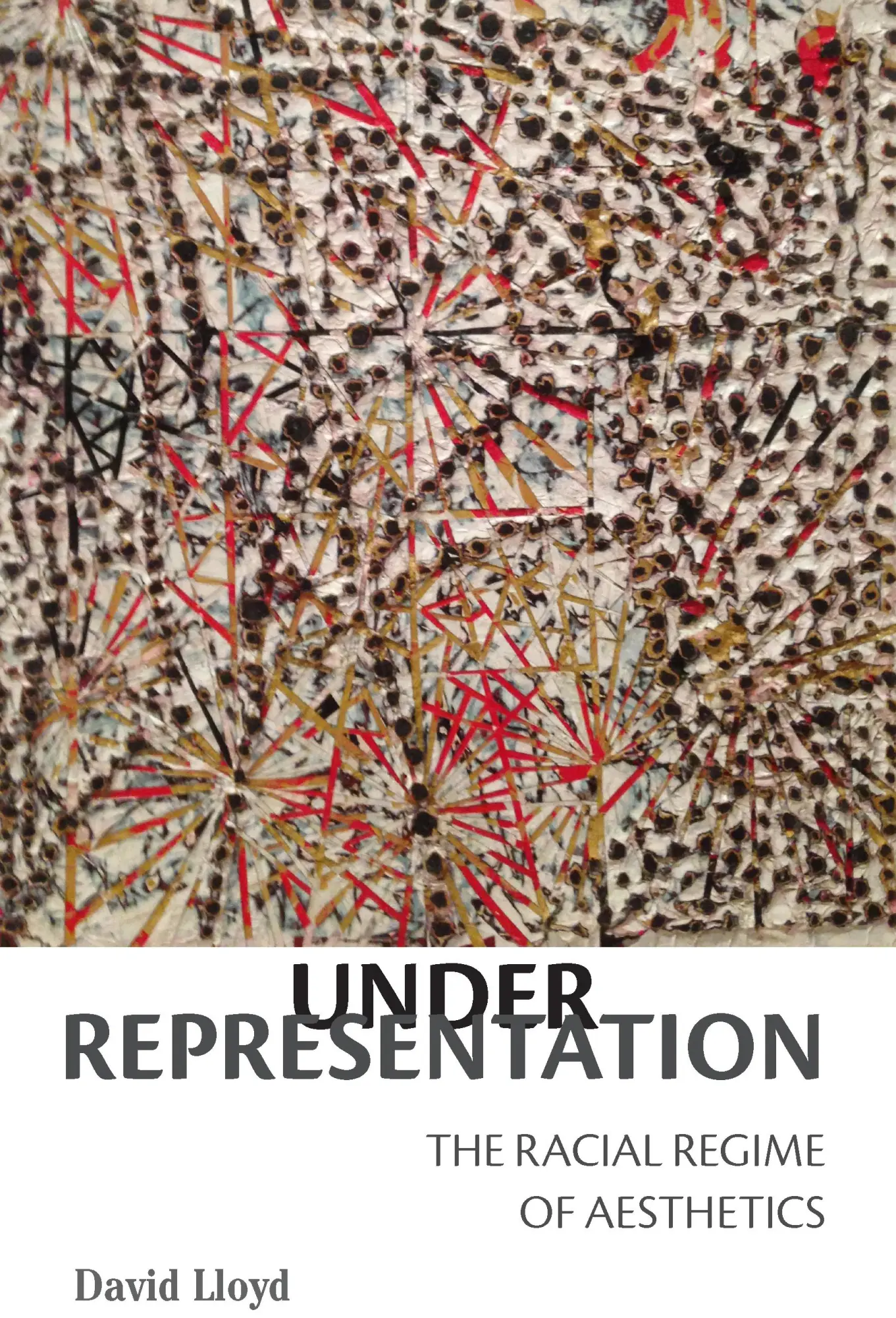 Cover: 9780823282371 | Under Representation | The Racial Regime of Aesthetics | David Lloyd