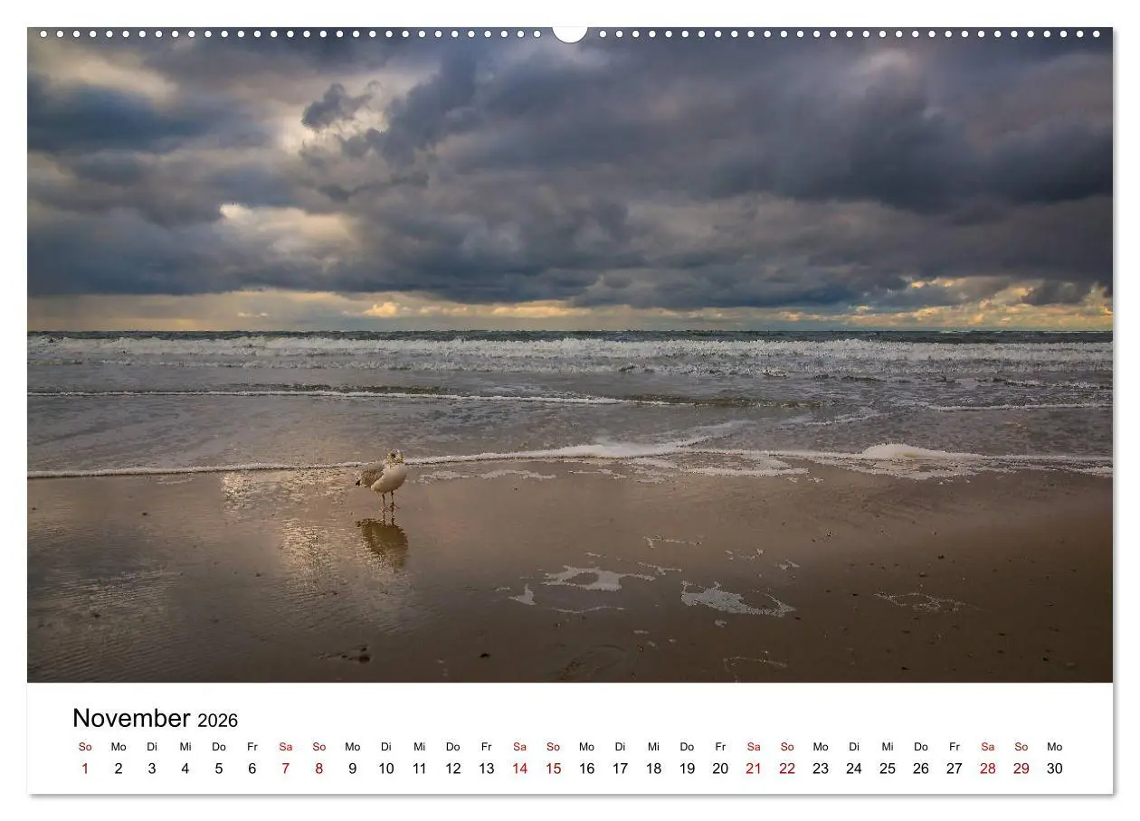 Bild: 9783457752371 | Langeoog - Ein Herbst auf der Insel des Lebens (hochwertiger...