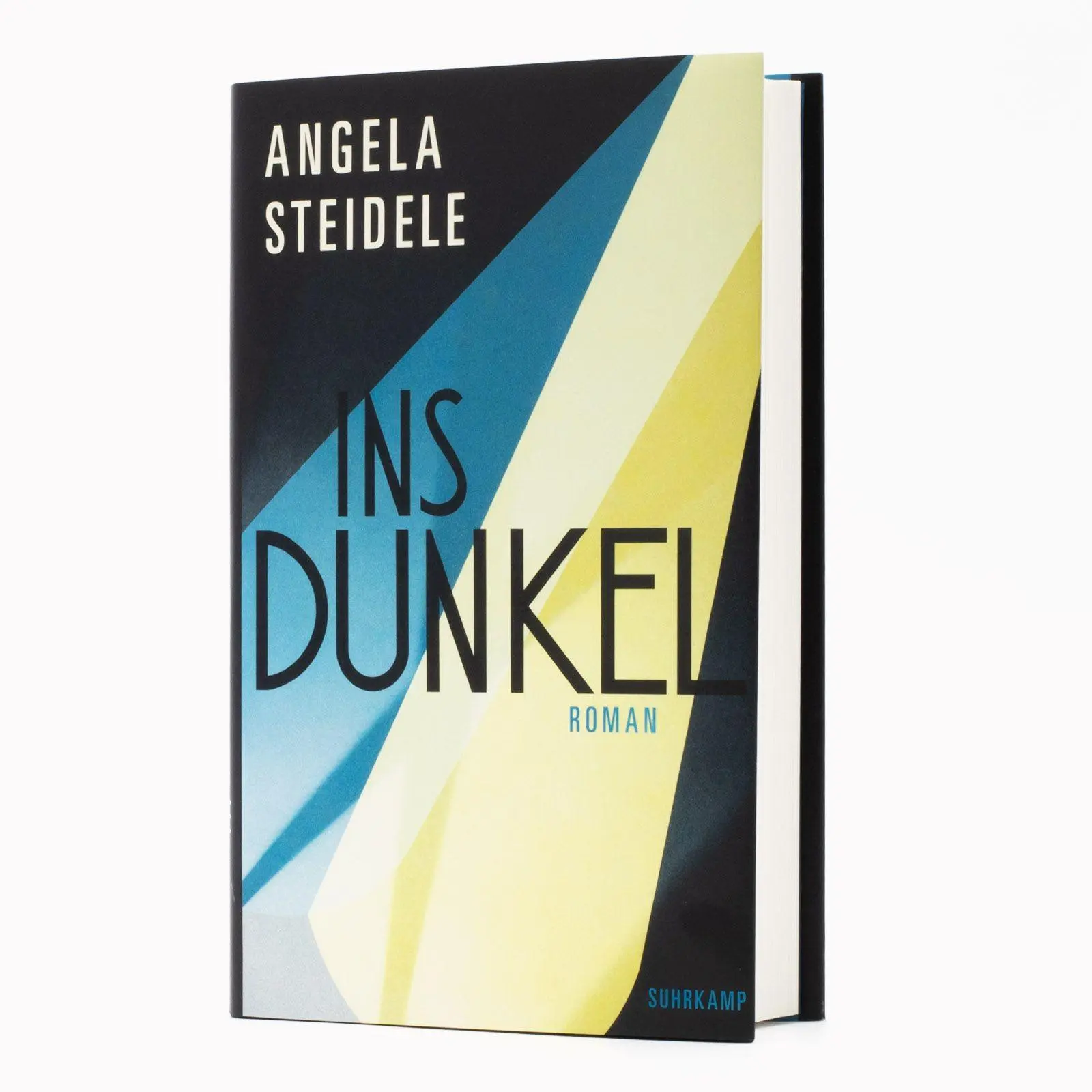 Bild: 9783518432471 | Ins Dunkel | Angela Steidele | Buch | 350 S. | Deutsch | 2025