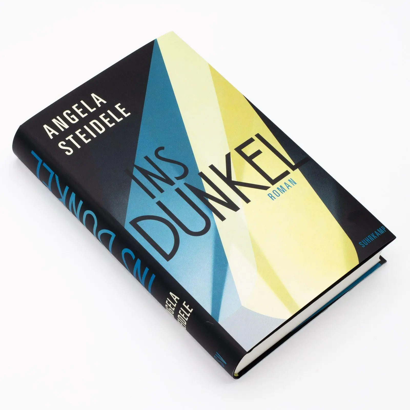 Bild: 9783518432471 | Ins Dunkel | Angela Steidele | Buch | 350 S. | Deutsch | 2025