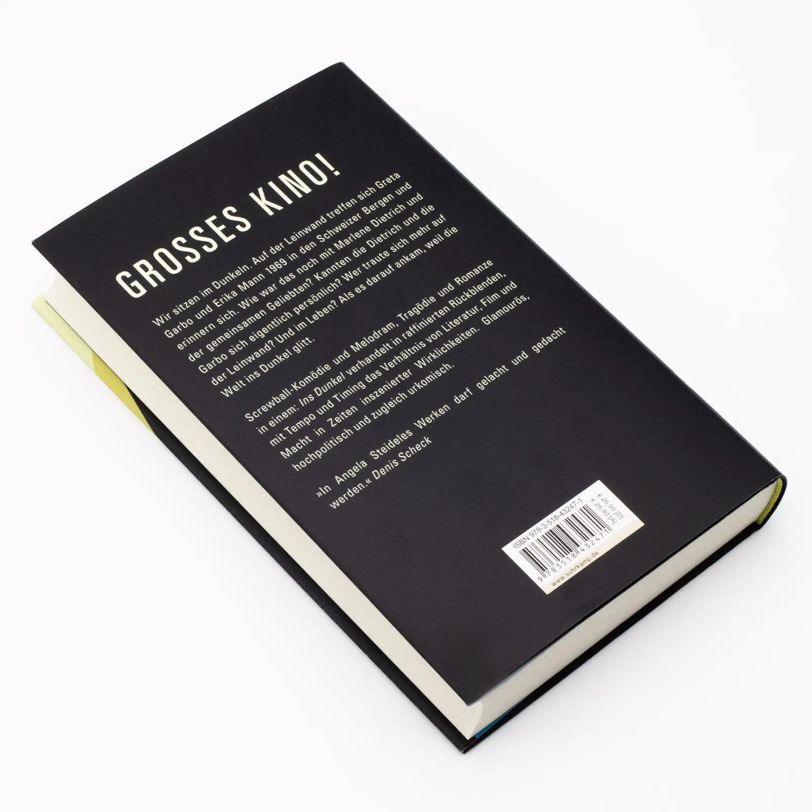 Bild: 9783518432471 | Ins Dunkel | Angela Steidele | Buch | 350 S. | Deutsch | 2025