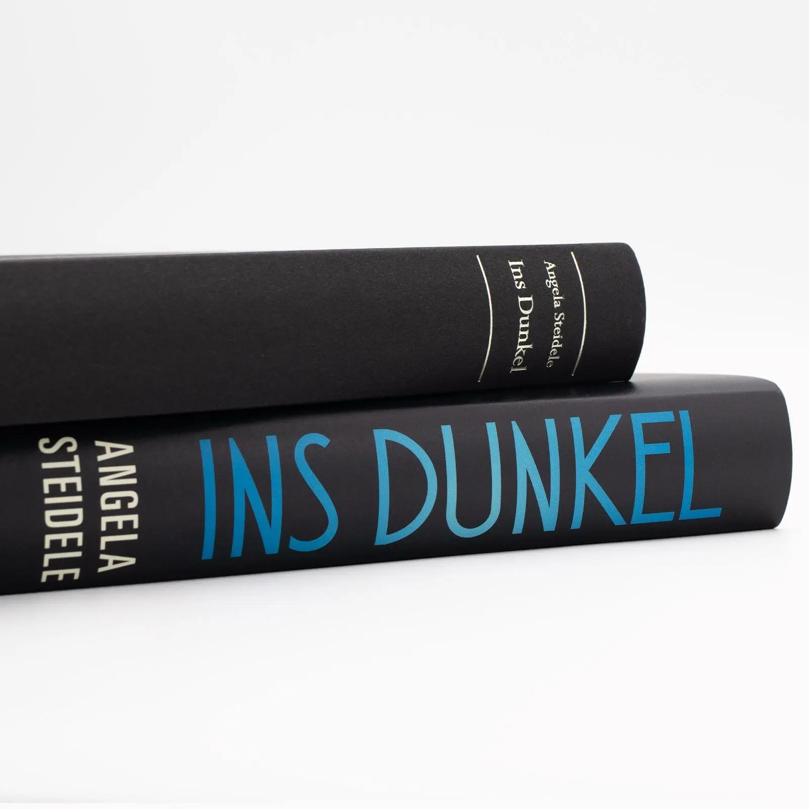 Bild: 9783518432471 | Ins Dunkel | Angela Steidele | Buch | 350 S. | Deutsch | 2025
