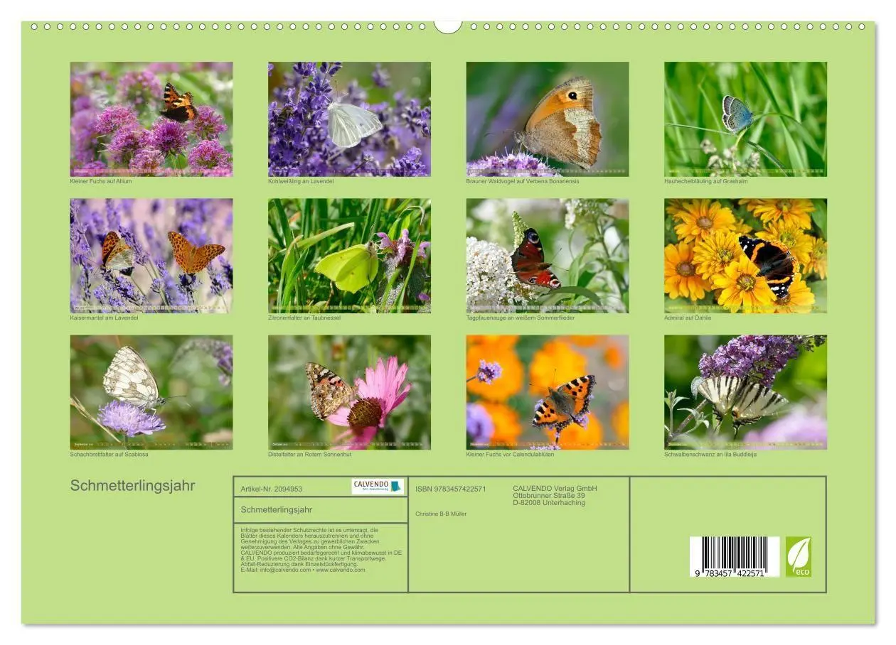 Bild: 9783457422571 | Schmetterlingsjahr (hochwertiger Premium Wandkalender 2026 DIN A2...