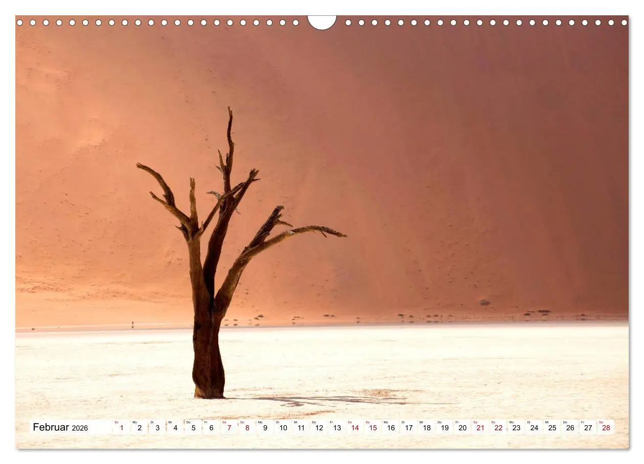 Bild: 9783457802571 | Wüstenlandschaften (Wandkalender 2026 DIN A3 quer), CALVENDO...