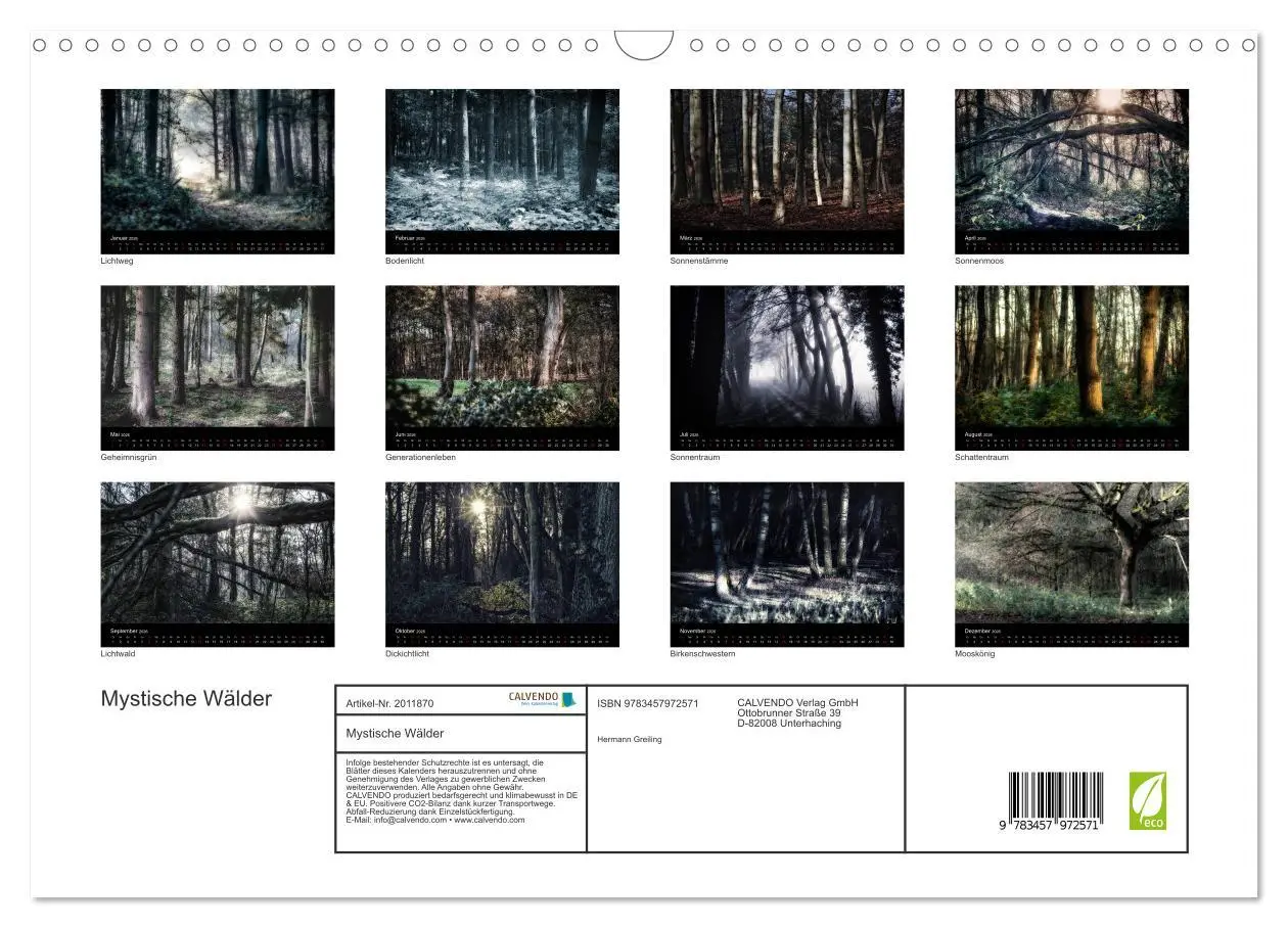 Bild: 9783457972571 | Mystische Wälder (Wandkalender 2026 DIN A3 quer), CALVENDO...