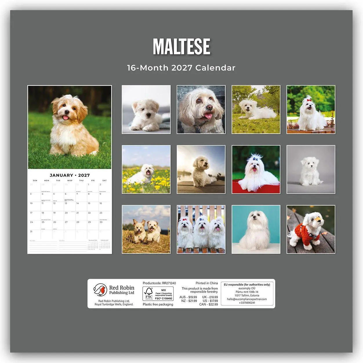 Rückseite: 9781837012671 | Maltese - Malteser 2027 - 16-Monatskalender | Robin Red | Kalender