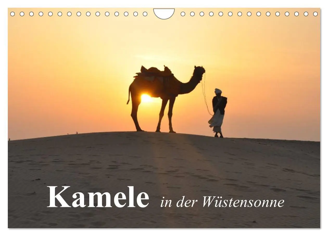 Cover: 9783516052671 | Kamele in der Wüstensonne (Wandkalender 2026 DIN A4 quer), CALVENDO...