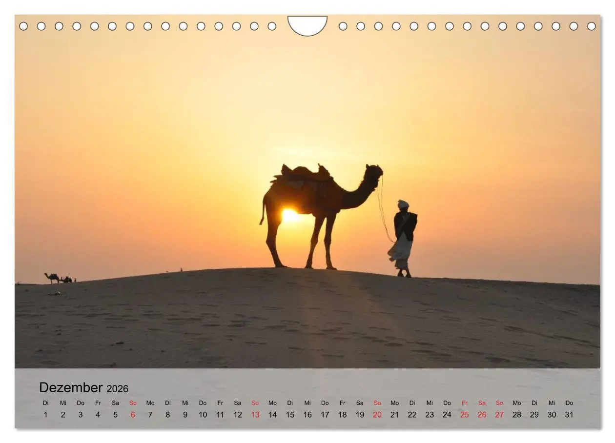 Bild: 9783516052671 | Kamele in der Wüstensonne (Wandkalender 2026 DIN A4 quer), CALVENDO...