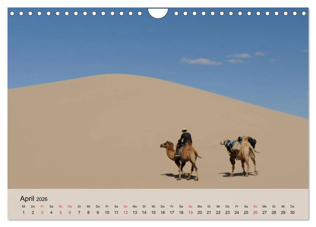 Bild: 9783516052671 | Kamele in der Wüstensonne (Wandkalender 2026 DIN A4 quer), CALVENDO...