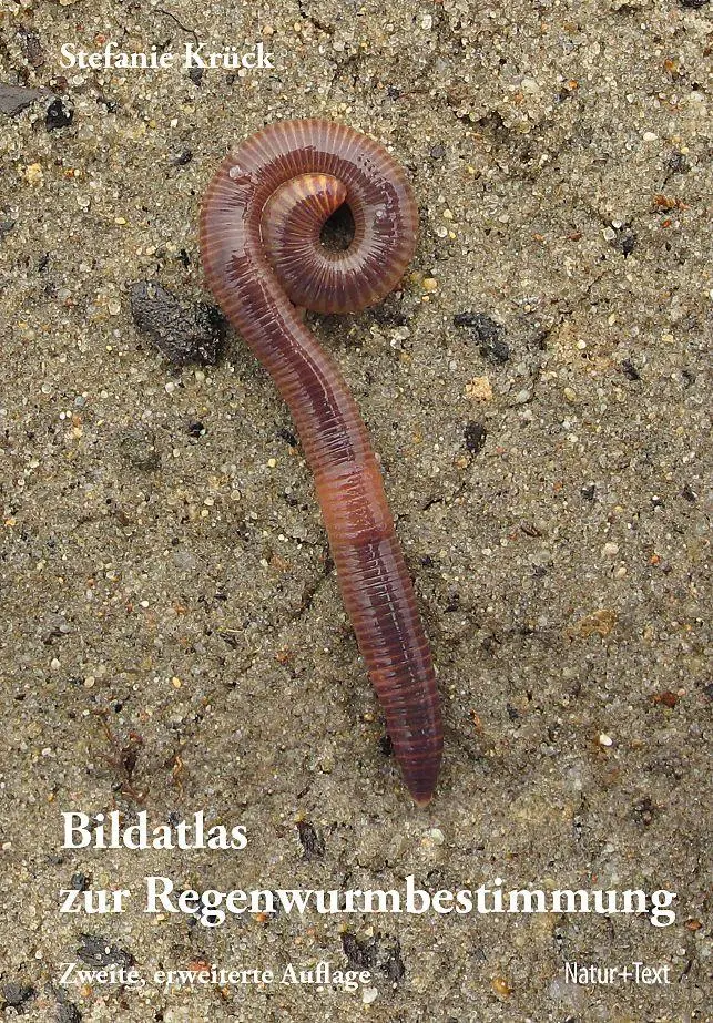 Cover: 9783942062671 | Bildatlas der Regenwurmbestimmung | Stefanie Krück | Buch | 212 S.