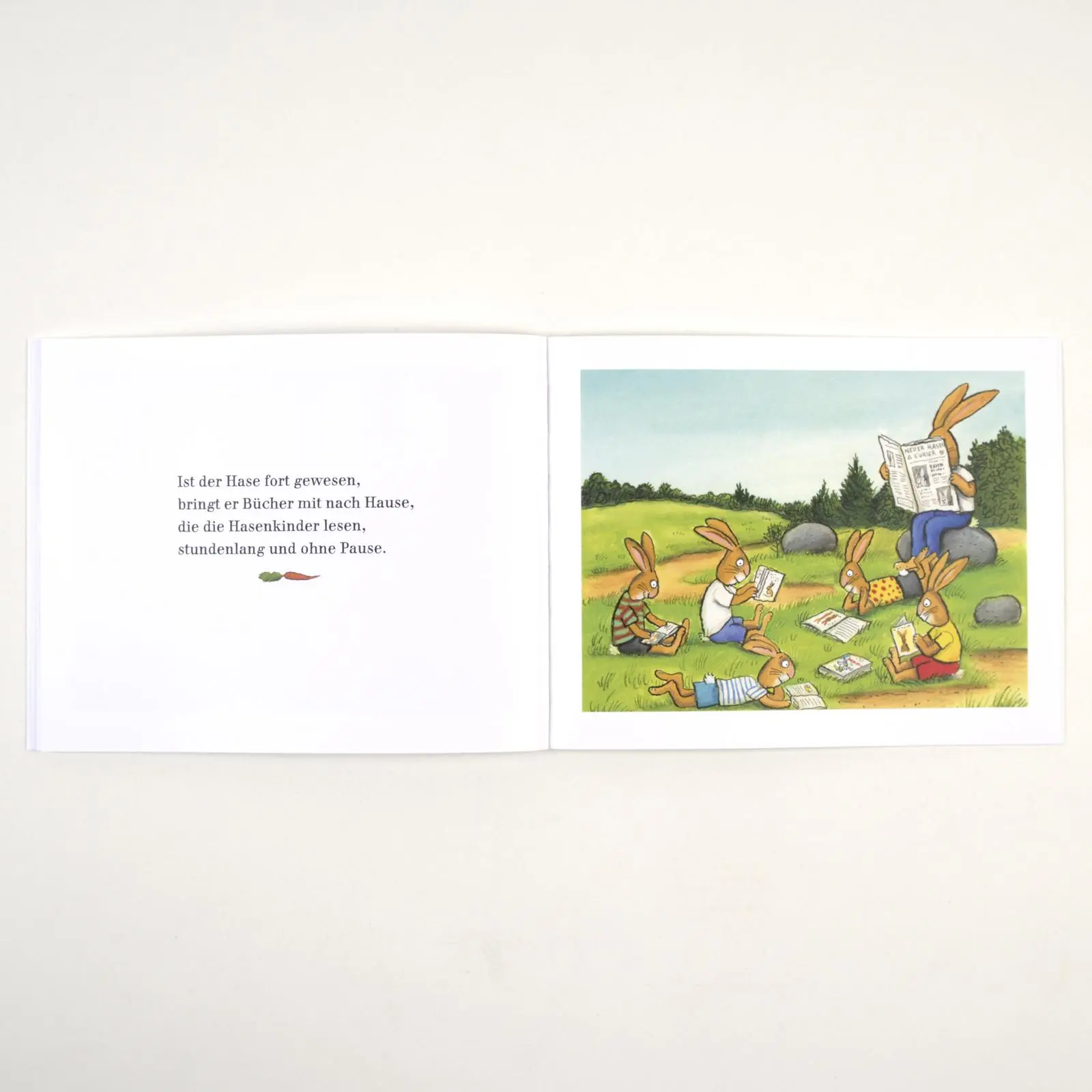 Bild: 9783407762771 | Wenn Hasen gute Laune haben | Vierfarbiges Bilderbuch | Taschenbuch