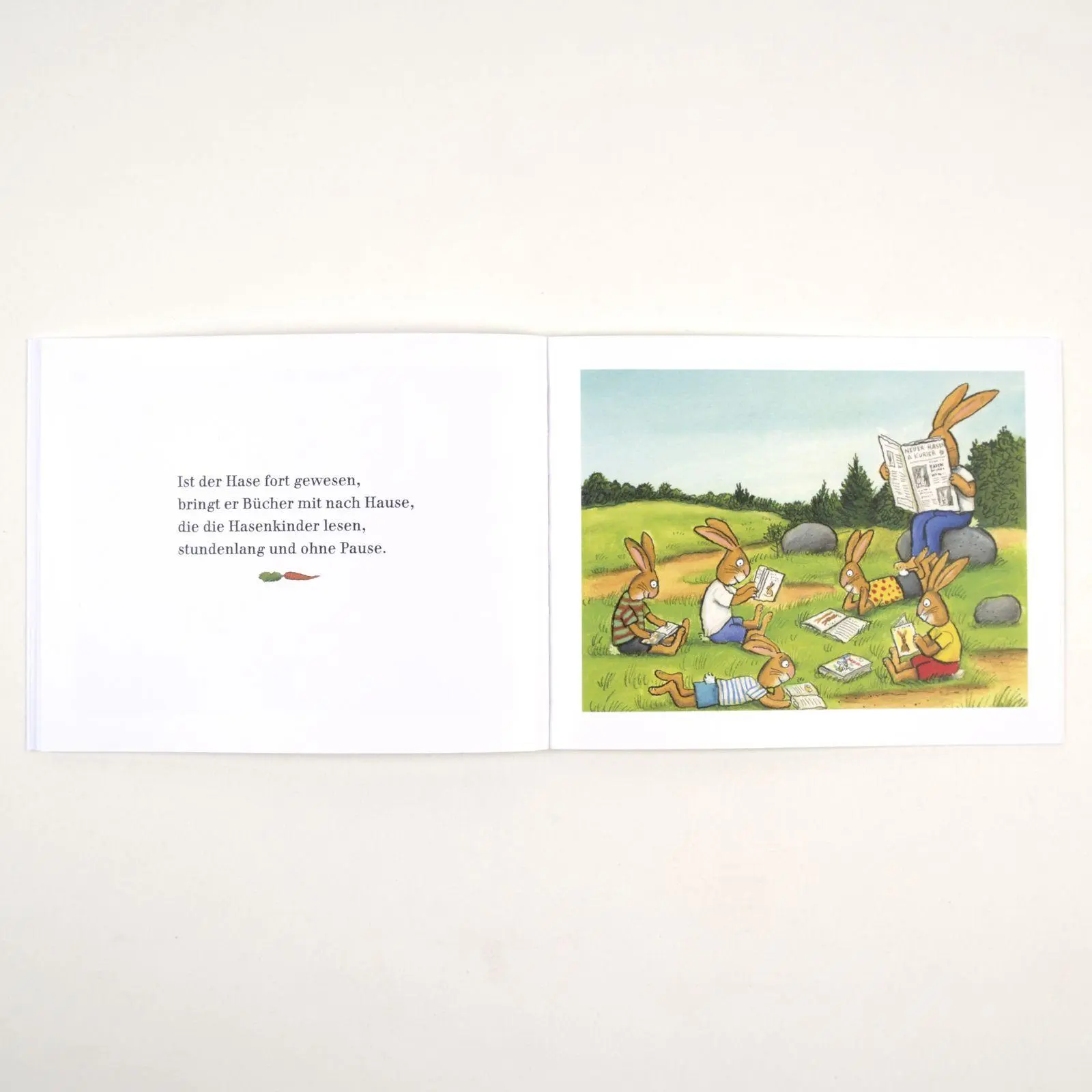 Bild: 9783407762771 | Wenn Hasen gute Laune haben | Vierfarbiges Bilderbuch | Taschenbuch