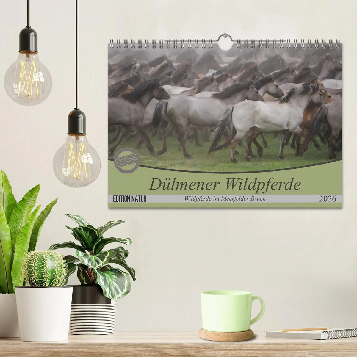 Bild: 9783457882771 | Dülmener Wildpferde - Wildpferde im Meerfelder Bruch (Wandkalender...