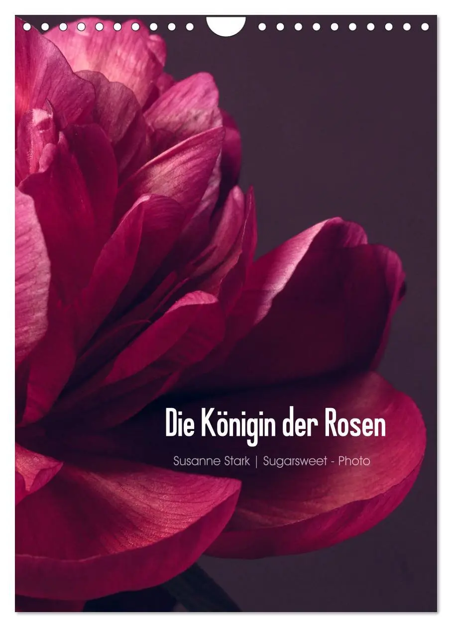 Cover: 9783516422771 | Die Königin der Rosen (Wandkalender 2026 DIN A4 hoch), CALVENDO...