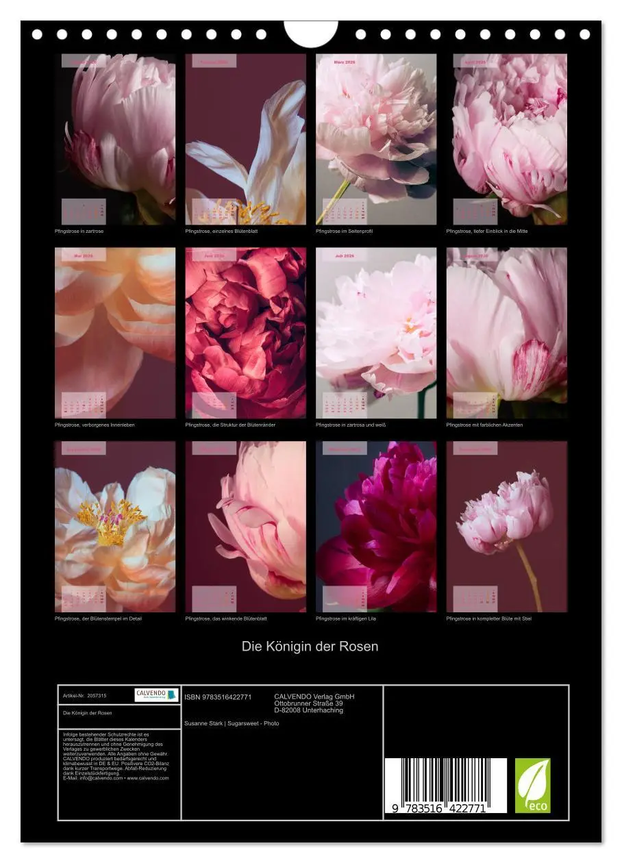 Bild: 9783516422771 | Die Königin der Rosen (Wandkalender 2026 DIN A4 hoch), CALVENDO...