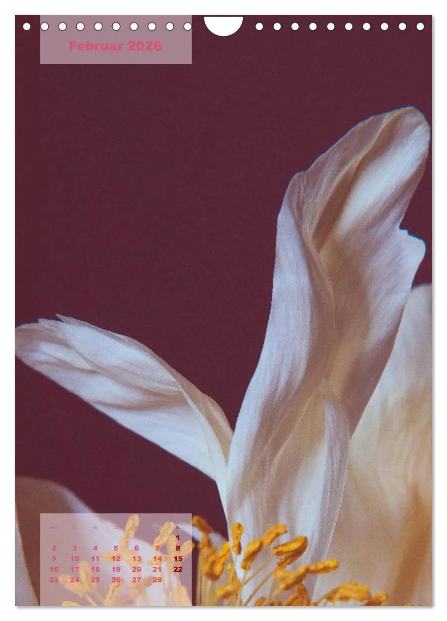 Bild: 9783516422771 | Die Königin der Rosen (Wandkalender 2026 DIN A4 hoch), CALVENDO...