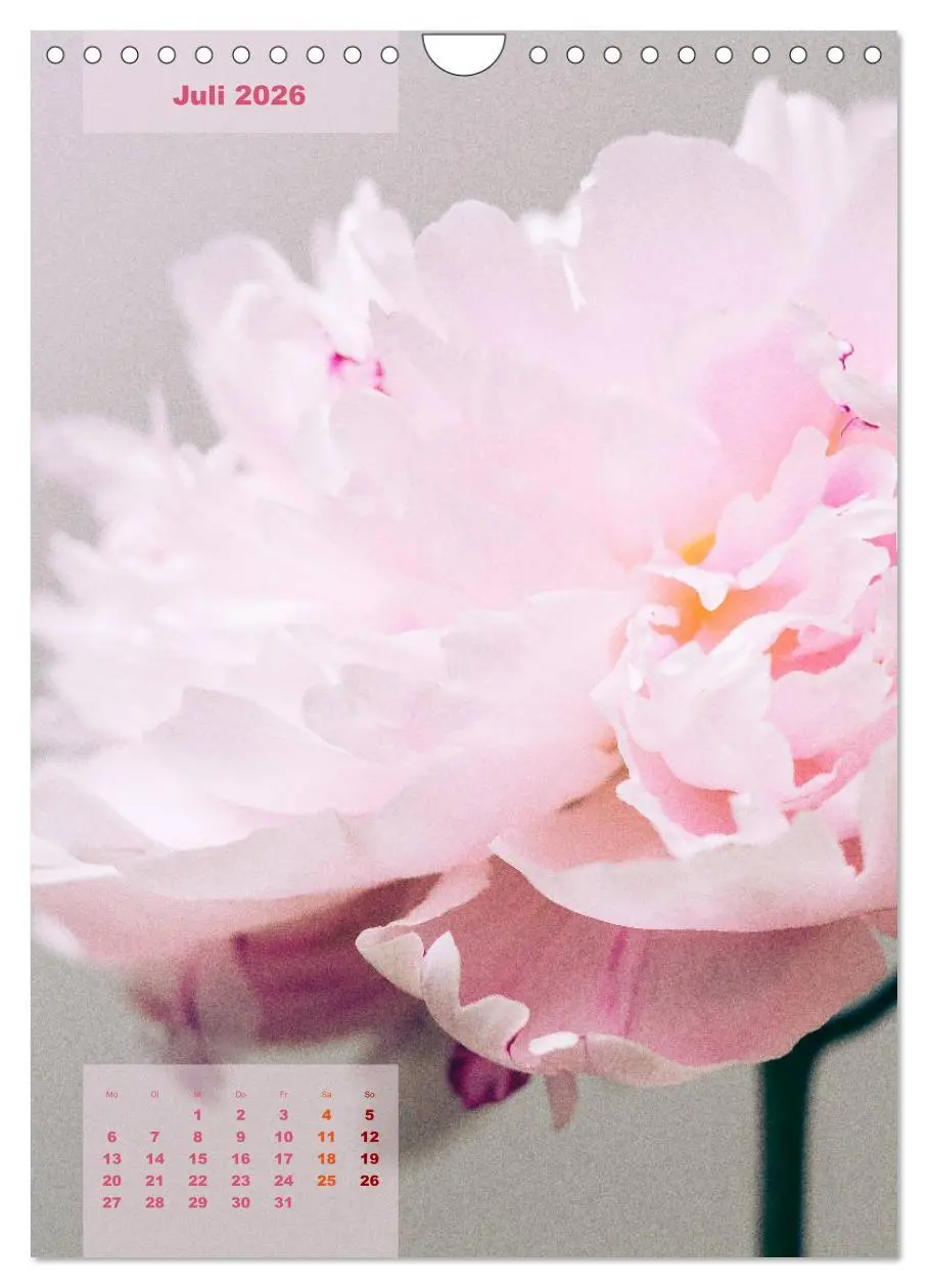 Bild: 9783516422771 | Die Königin der Rosen (Wandkalender 2026 DIN A4 hoch), CALVENDO...