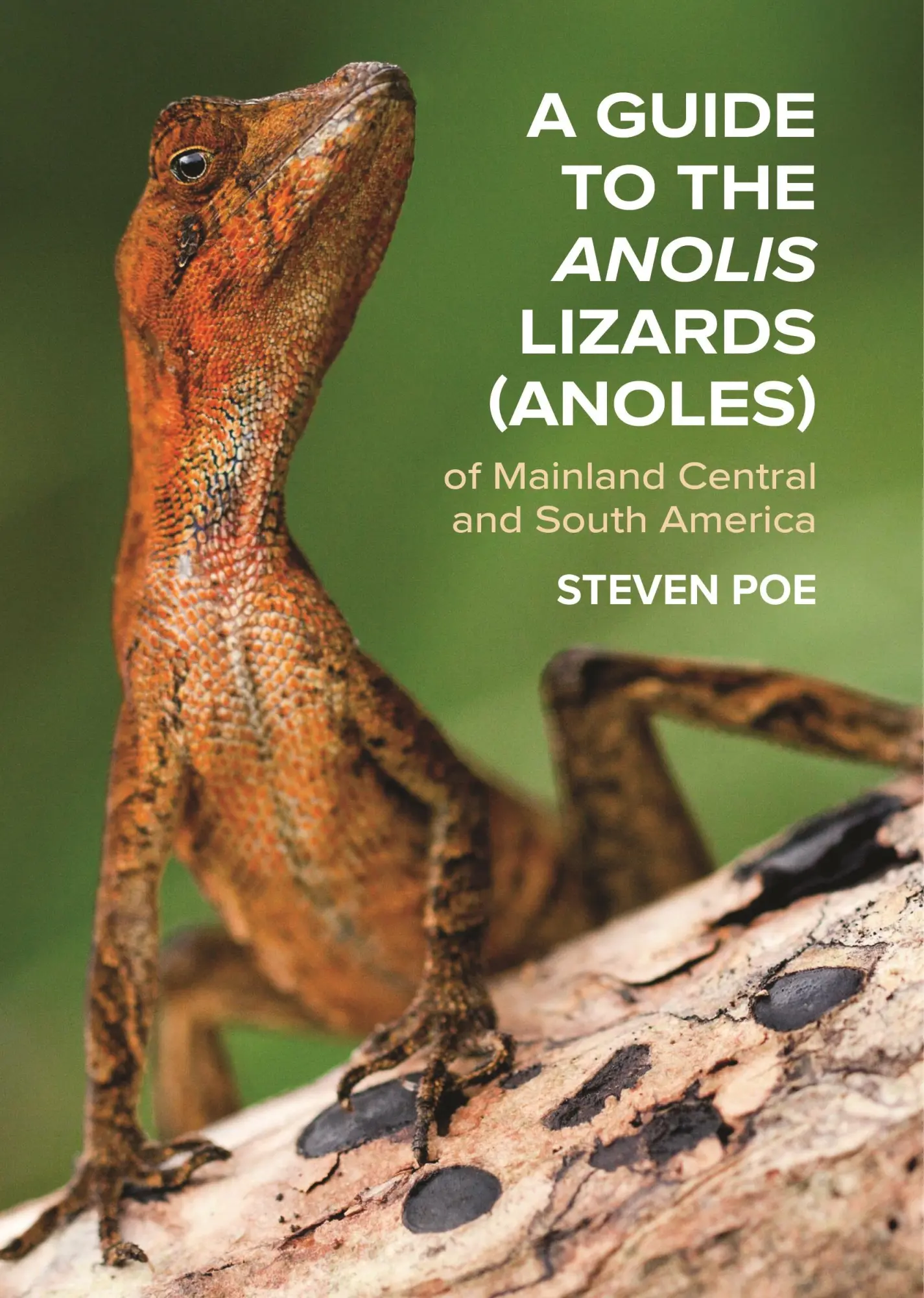 Cover: 9780691192871 | A Guide to the Anolis Lizards (Anoles) of Mainland Central and...