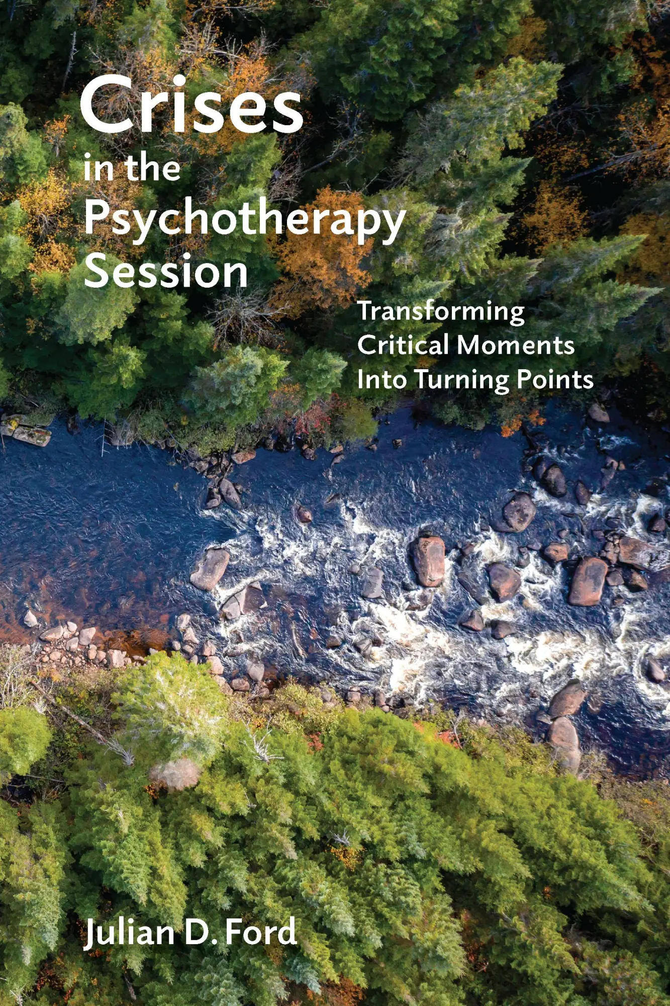 Cover: 9781433832871 | Crises in the Psychotherapy Session: Transforming Critical Moments...