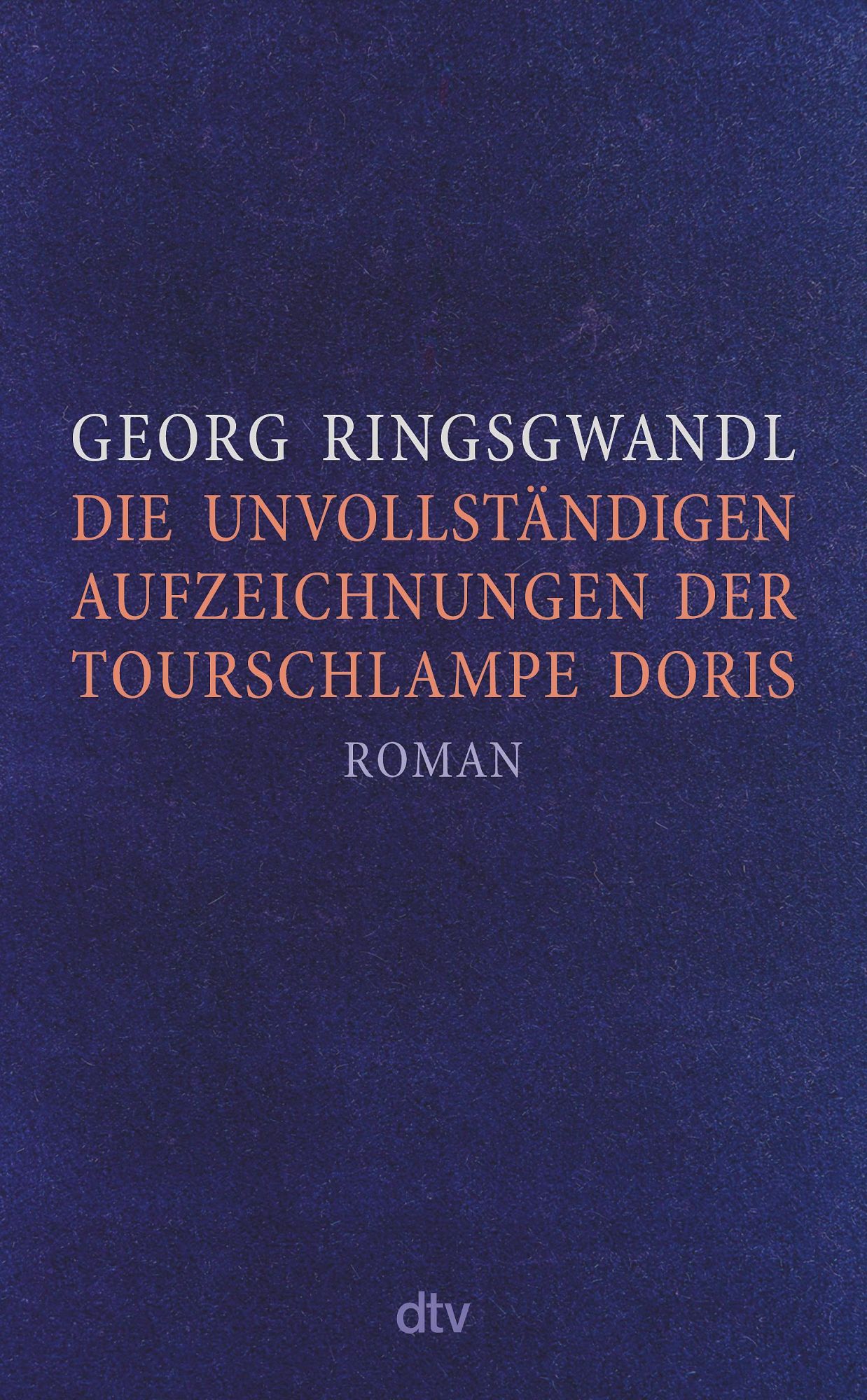 Cover: 9783423282871 | Die unvollständigen Aufzeichnungen der Tourschlampe Doris | Buch