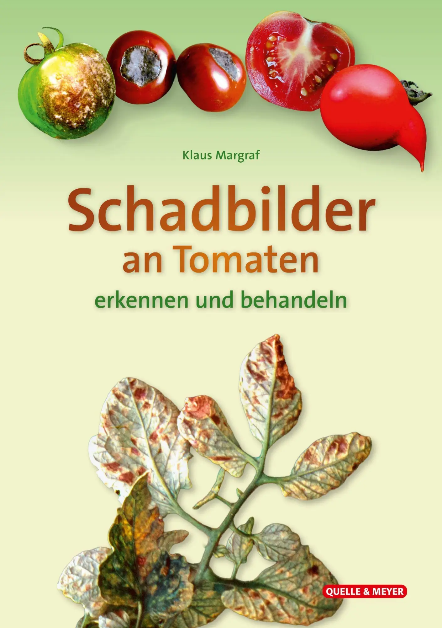 Cover: 9783494022871 | Schadbilder an Tomaten | erkennen und behandeln | Klaus Margraf | Buch
