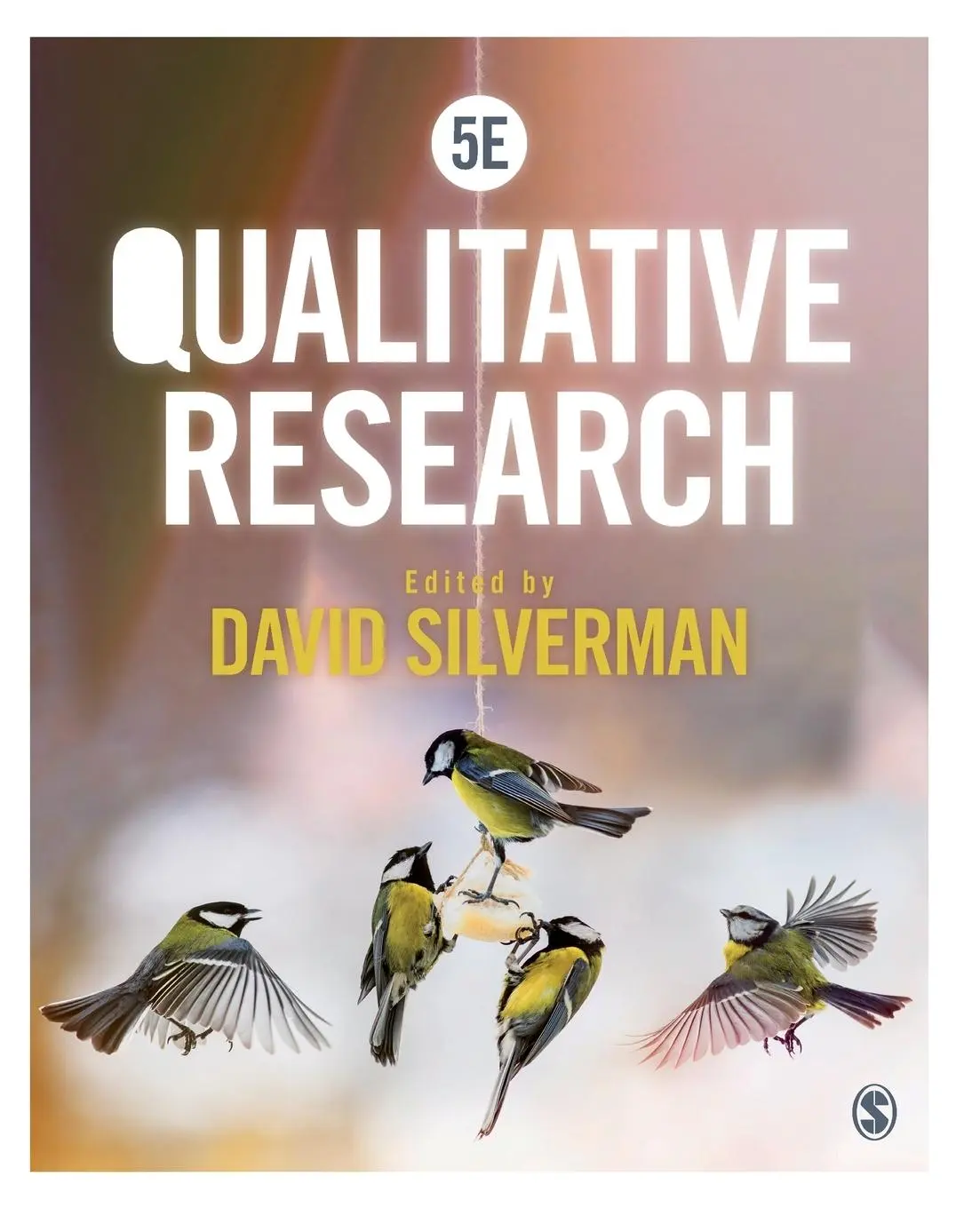 Cover: 9781529712971 | Qualitative Research | David Silverman | Taschenbuch | Englisch | 2020