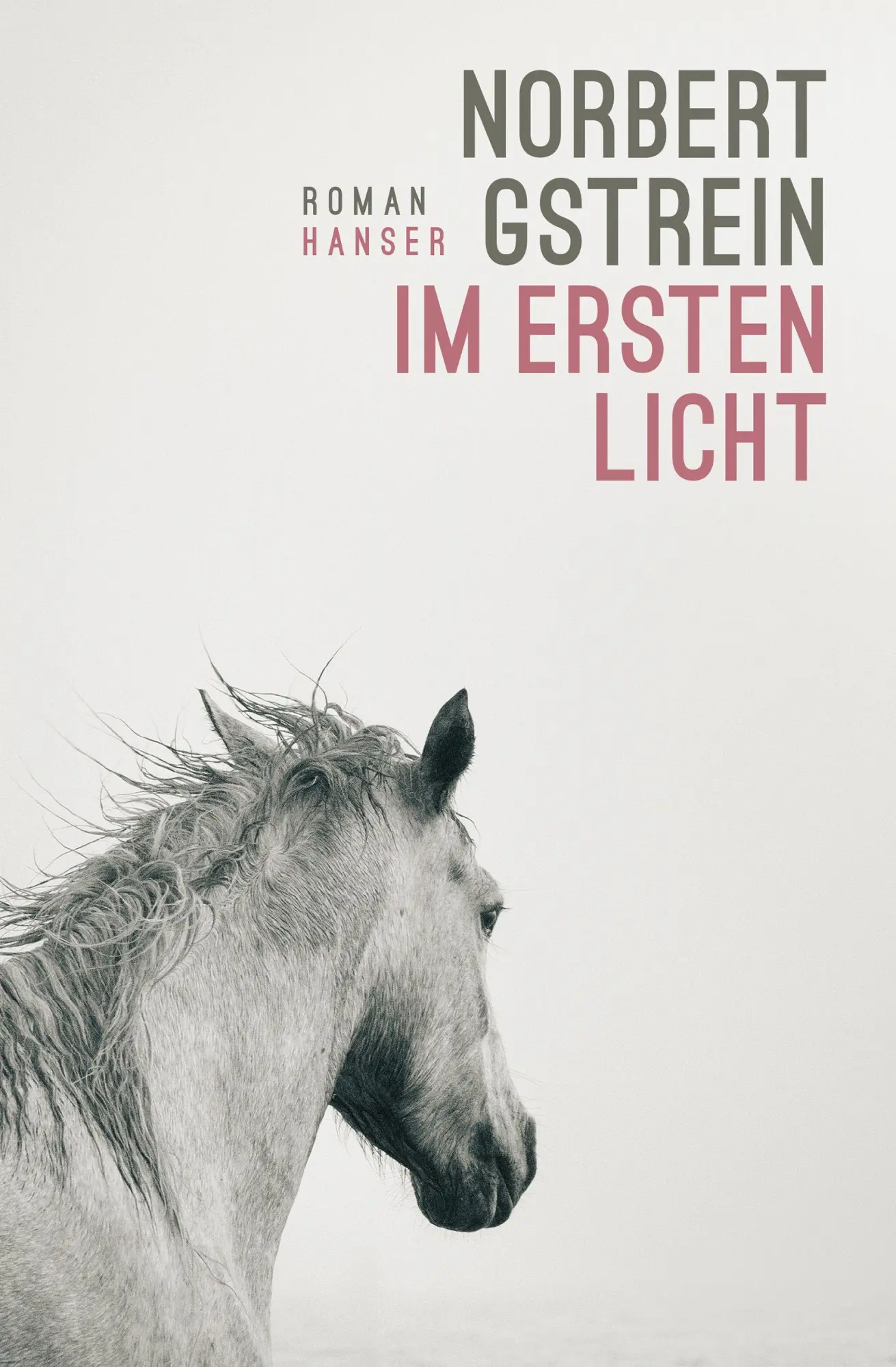 Cover: 9783446282971 | Im ersten Licht | Roman | Norbert Gstrein | Buch | 416 S. | Deutsch