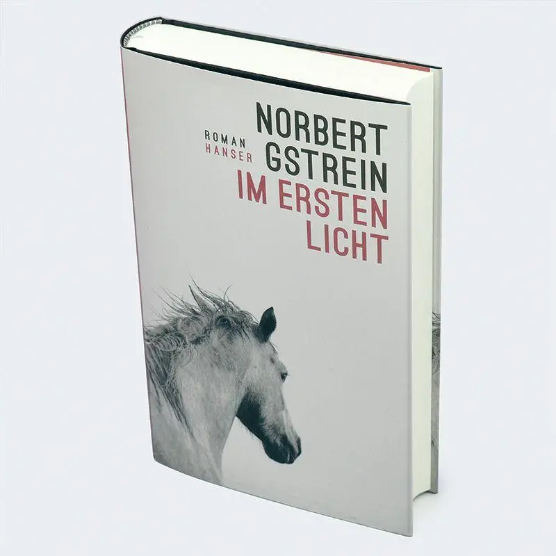 Bild: 9783446282971 | Im ersten Licht | Roman | Norbert Gstrein | Buch | 416 S. | Deutsch